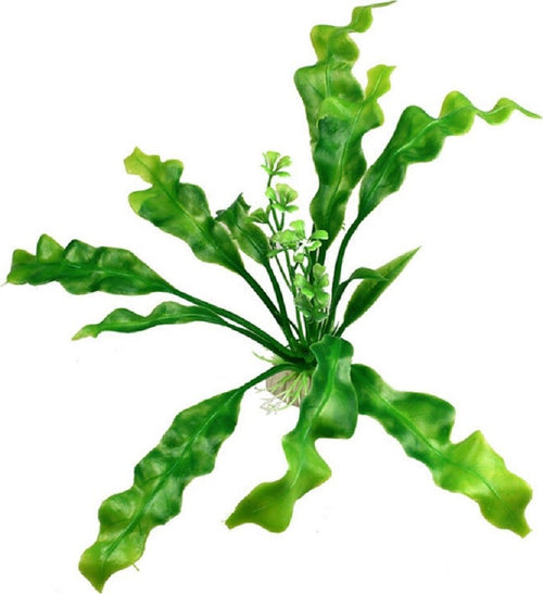 Pianta 20 Cm Piantina Artificiale Per Acquario Piante Finte Plastica Col. Verde Prodotti per animali > Prodotti per Acquari > Decorazioni Acquario Trade Shop italia - Napoli, Commerciovirtuoso.it
