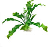 Pianta 20 Cm Piantina Artificiale Per Acquario Piante Finte Plastica Col. Verde Prodotti per animali > Prodotti per Acquari > Decorazioni Acquario Trade Shop italia - Napoli, Commerciovirtuoso.it