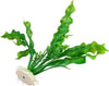 Pianta 20 Cm Piantina Artificiale Per Acquario Piante Finte Plastica Col. Verde Prodotti per animali > Prodotti per Acquari > Decorazioni Acquario Trade Shop italia - Napoli, Commerciovirtuoso.it
