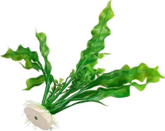 Pianta 20 Cm Piantina Artificiale Per Acquario Piante Finte Plastica Col. Verde Prodotti per animali > Prodotti per Acquari > Decorazioni Acquario Trade Shop italia - Napoli, Commerciovirtuoso.it