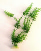 Pianta 26 Cm Piantina Artificiale Per Acquario Piante Finte Plastica Color Verde Prodotti per animali > Prodotti per Acquari > Decorazioni Acquario Trade Shop italia - Napoli, Commerciovirtuoso.it