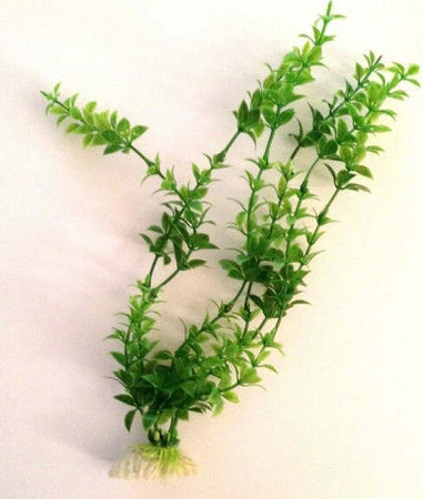 Pianta 26 Cm Piantina Artificiale Per Acquario Piante Finte Plastica Color Verde Prodotti per animali domestici/Pesci e animali d'acqua/Arredo per acquario/Piante sintetiche Trade Shop italia - Napoli, Commerciovirtuoso.it
