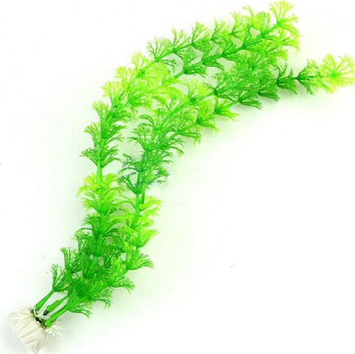 Pianta 30 Cm Piantina Artificiale Per Acquario Piante Finte Plastica Color Verde Prodotti per animali > Prodotti per Acquari > Decorazioni Acquario Trade Shop italia - Napoli, Commerciovirtuoso.it