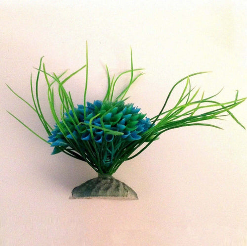 Pianta 7 Cm Piantina Artificiale Acquario Piante Finte Plastica Cespuglio Blu Prodotti per animali > Prodotti per Acquari > Decorazioni Acquario Trade Shop italia - Napoli, Commerciovirtuoso.it