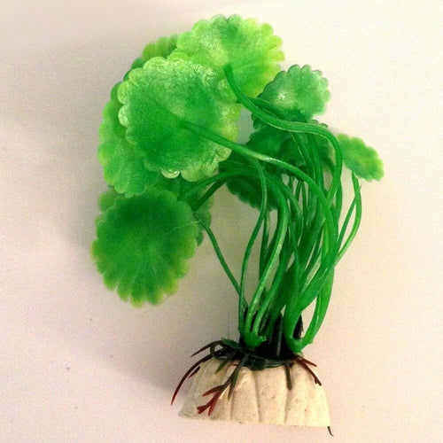 Pianta 9 Cm Piantina Artificiale Per Acquario Piante Finte Plastica Color Verde Prodotti per animali > Prodotti per Acquari > Decorazioni Acquario Trade Shop italia - Napoli, Commerciovirtuoso.it