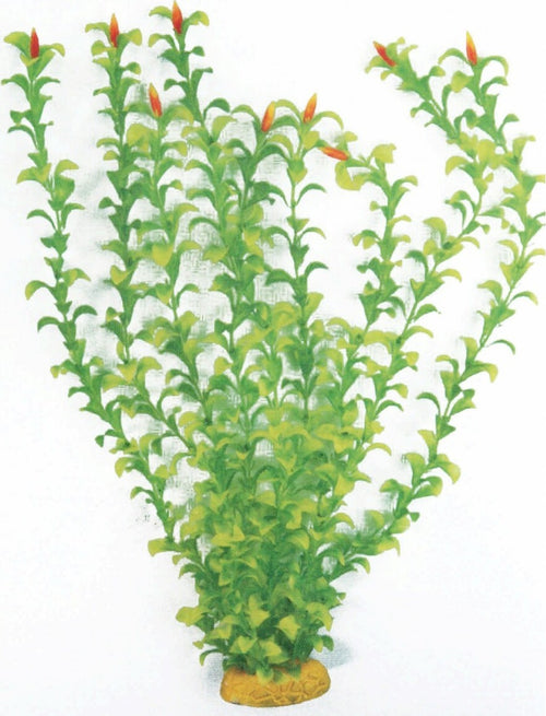 Pianta acquatica artificiale per acquari Classic Plant HyGrophila Prodotti per animali domestici/Pesci e animali d'acqua/Arredo per acquario/Piante sintetiche Trade Shop italia - Napoli, Commerciovirtuoso.it