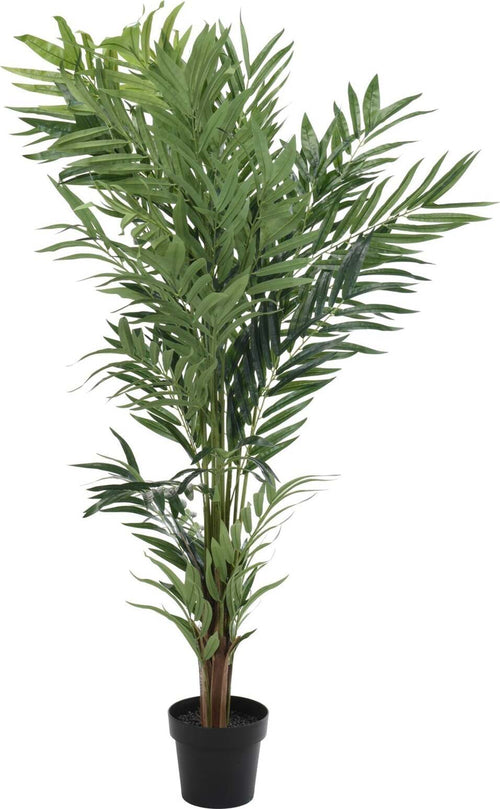 Pianta artificiale con vaso decorativa verde da 150 cm per interno Casa e cucina/Decorazioni per interni/Piante e fiori artificiali/Piante artificiali Decor Space - Altamura, Commerciovirtuoso.it