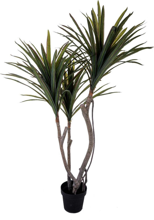 Pianta artificiale moderna Dracena Marginata in materiale sintetico da h 120 cm Casa e cucina/Decorazioni per interni/Piante e fiori artificiali/Piante artificiali Decor Space - Altamura, Commerciovirtuoso.it