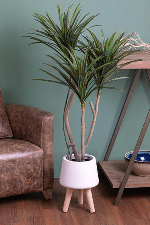 Pianta artificiale moderna Dracena Marginata in materiale sintetico da h 120 cm Casa e cucina/Decorazioni per interni/Piante e fiori artificiali/Piante artificiali Decor Space - Altamura, Commerciovirtuoso.it