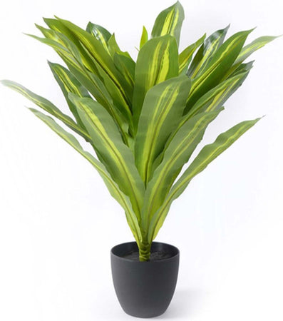 Pianta artificiale verde con vaso antracite decorazione moderna per interno da 60 cm Casa e cucina/Decorazioni per interni/Piante e fiori artificiali/Piante artificiali Decor Space - Altamura, Commerciovirtuoso.it