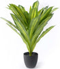 Pianta artificiale verde con vaso antracite decorazione moderna per interno da 60 cm Casa e cucina/Decorazioni per interni/Piante e fiori artificiali/Piante artificiali Decor Space - Altamura, Commerciovirtuoso.it