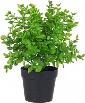 Pianta-artificiale-Yes-Everyday-0171053-Sedum-Verde