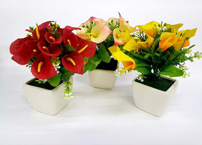 Pianta Calla Finta Colorata 21x7.5cm Vaso Ceramica Decorazione Fiori Scrivania Casa Casa e cucina/Decorazioni per interni/Piante e fiori artificiali/Piante artificiali Trade Shop italia - Napoli, Commerciovirtuoso.it