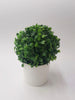 Pianta Cespuglio Vaso Plastica 18cm Artificiali Portafiori Piantina Decorazione Casa Fiori Finti Trade Shop italia - Napoli, Commerciovirtuoso.it