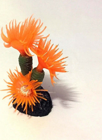 Pianta Corallo Artificiale Finto Per Decorazione Acquario Arancione Vasca Pesci Prodotti per animali > Prodotti per Acquari > Decorazioni Acquario Trade Shop italia - Napoli, Commerciovirtuoso.it