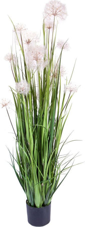 Pianta Dandelion C/vaso Cm 98 Bianchi Dino Giardino e giardinaggio/Piante semi e bulbi/Piante da interno/Fiori Loft Uno di Casa - Catania, Commerciovirtuoso.it