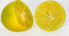 Pianta Di Limone Limequat Limonia X Fortunella - Altezza 80/90 Cm Limone, Agrumi, Pianta Vera, Pianta Da Terrazzo, Albero Da Frutto, Mediterranea Giardino e giardinaggio/Giardinaggio/Piante da esterno/Piante da frutta Maxbest Plants - Messina, Commerciovirtuoso.it