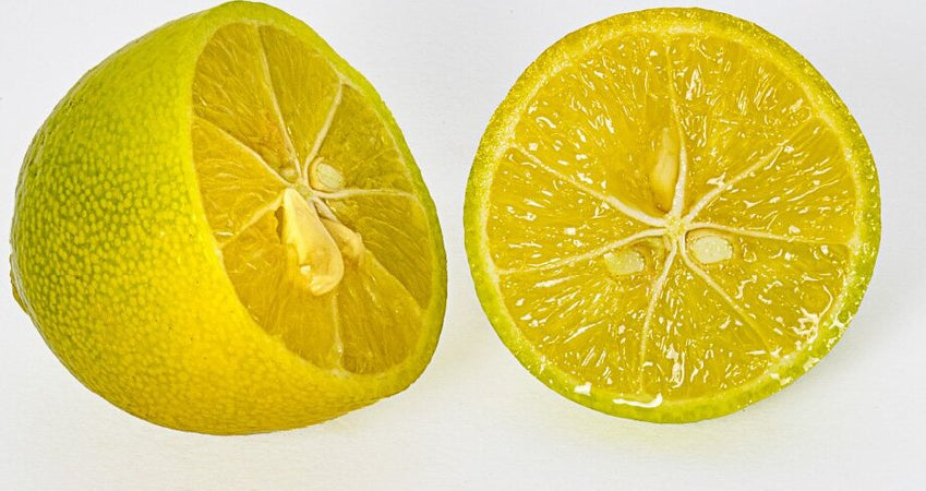 Pianta Di Limone Limequat Limonia X Fortunella - Altezza 80/90 Cm Limone, Agrumi, Pianta Vera, Pianta Da Terrazzo, Albero Da Frutto, Mediterranea Giardino e giardinaggio/Giardinaggio/Piante da esterno/Piante da frutta Maxbest Plants - Messina, Commerciovirtuoso.it