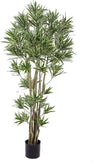 Pianta Dracena Reflexa 155 Cm Bianchi Dino Giardino e giardinaggio/Piante semi e bulbi/Piante da interno/Alberi Loft Uno di Casa - Catania, Commerciovirtuoso.it