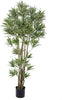 Pianta Dracena Reflexa 155 Cm Bianchi Dino Giardino e giardinaggio/Piante semi e bulbi/Piante da interno/Alberi Loft Uno di Casa - Catania, Commerciovirtuoso.it