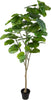 Pianta Ficus 64fgl Real Touch 200 Cm C/vaso Bianchi Dino Giardino e giardinaggio/Piante semi e bulbi/Piante da interno/Felci Loft Uno di Casa - Catania, Commerciovirtuoso.it