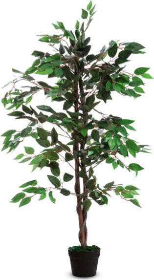 Pianta ornamentale - ficus - H120cm - Paperflow Casa e cucina/Decorazioni per interni/Piante e fiori artificiali/Piante artificiali Eurocartuccia - Pavullo, Commerciovirtuoso.it
