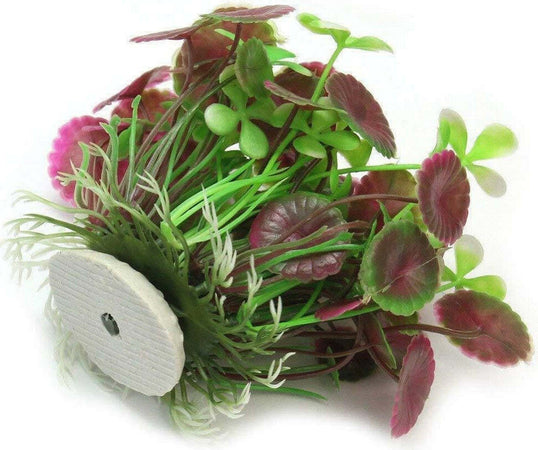 Pianta Piantina Artificiale Per Acquario Piante Finte Plastica Foglie Loto Bello Prodotti per animali > Prodotti per Acquari > Decorazioni Acquario Trade Shop italia - Napoli, Commerciovirtuoso.it
