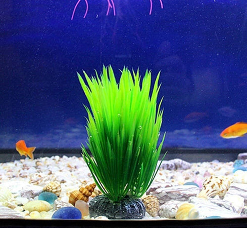 Pianta Piantina Artificiale Per Acquario Piante Finte Plastica Verde A Punta Prodotti per animali > Prodotti per Acquari > Decorazioni Acquario Trade Shop italia - Napoli, Commerciovirtuoso.it
