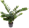 Pianta Zamifolia C/vaso H.89 Cm Bianchi Dino Giardino e giardinaggio/Piante semi e bulbi/Piante da interno/Felci Loft Uno di Casa - Catania, Commerciovirtuoso.it