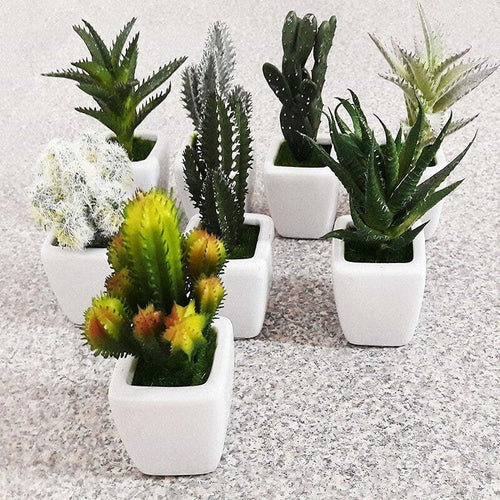 PIANTINA GRASSA FINTA VASO CERAMICA QUADRATO 5x11CM DECORAZIONE UFFICI BOMBONIERA Casa e cucina/Hobby creativi/Materiali per hobby creativi/Forniture per feste/Bomboniere Trade Shop italia - Napoli, Commerciovirtuoso.it