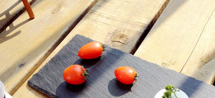 Piatto In Pietra Ardesia Rettangolare 20x10cm Portata Per Cibi Caldi Freddi Cucina > Piatti Trade Shop italia - Napoli, Commerciovirtuoso.it