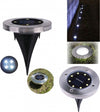 Picchetto Segnapasso Bianco Freddo Pannello Solare Led Waterproof Illuminazione Illuminazione/Illuminazione per esterni/Luci per sentieri Trade Shop italia - Napoli, Commerciovirtuoso.it