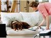 Picchio PB440 + set MP440 & MR440 Originale Vorwerk Folletto