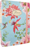 PIGNA-Cartellina-3-lembi-con-elastico-NATURE-assortito