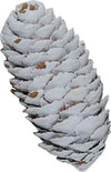Pigna per albero di natale 300 g decorazione natalizia da 8 cm Casa e cucina/Decorazioni per interni/Addobbi e decorazioni per ricorrenze/Decorazioni natalizie/Addobbi e decorazioni/Palle e palline MagiediNatale.it - Altamura, Commerciovirtuoso.it