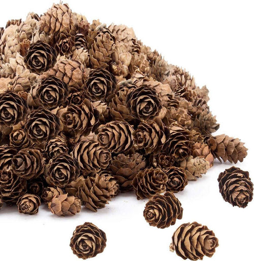 Pigne naturali decorazione Natalizie per ghirlande ed alberi di natale 100 g Casa e cucina/Decorazioni per interni/Addobbi e decorazioni per ricorrenze/Decorazioni natalizie/Oggettistica MagiediNatale.it - Altamura, Commerciovirtuoso.it