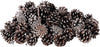 Pigne naturali innevate e stabilizzate da 5 cm per decorazioni natalizie 63 pz Casa e cucina/Decorazioni per interni/Addobbi e decorazioni per ricorrenze/Decorazioni natalizie/Oggettistica MagiediNatale.it - Altamura, Commerciovirtuoso.it