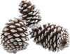 Pigne naturali innevate e stabilizzate da 7 cm per decorazioni natalizie Casa e cucina/Decorazioni per interni/Addobbi e decorazioni per ricorrenze/Decorazioni natalizie/Oggettistica MagiediNatale.it - Altamura, Commerciovirtuoso.it