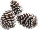 Pigne naturali innevate e stabilizzate da 7 cm per decorazioni natalizie Casa e cucina/Decorazioni per interni/Addobbi e decorazioni per ricorrenze/Decorazioni natalizie/Oggettistica MagiediNatale.it - Altamura, Commerciovirtuoso.it