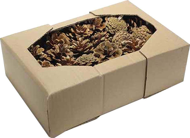 Pigne naturali stabilizzate da 5 cm per decorazioni natalizie, in scatola da 63 pz Casa e cucina/Decorazioni per interni/Addobbi e decorazioni per ricorrenze/Decorazioni natalizie/Oggettistica MagiediNatale.it - Altamura, Commerciovirtuoso.it