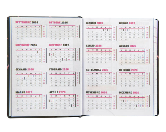 Diario-agenda-16-mesi-anna-pepe-6