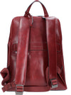 Piquadro-Borse...-Bordeaux-da-uomo