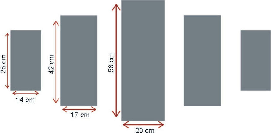 Pittura-decorativa-su-MDF-5-pezzi-Leone-Wall-Addiction