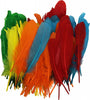 PIUME D'OCA COLORATE 24 PZ PIUMA PIUMAGGI COLORI PENNE INDIANE WEDDING CM 12-20 Casa e cucina/Hobby creativi/Scrapbooking/Abbellimenti Trade Shop italia - Napoli, Commerciovirtuoso.it