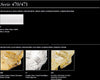 Plafoniera-classica-Sylcom-TRIBUNO-470-97-ORO-E27-E14-LED-vetro-murano-lampada-soffitto