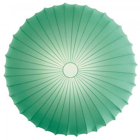 Product Image-2