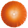 Product Image-4