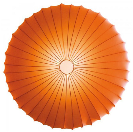 Product Image-4