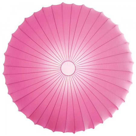 Product Image-5