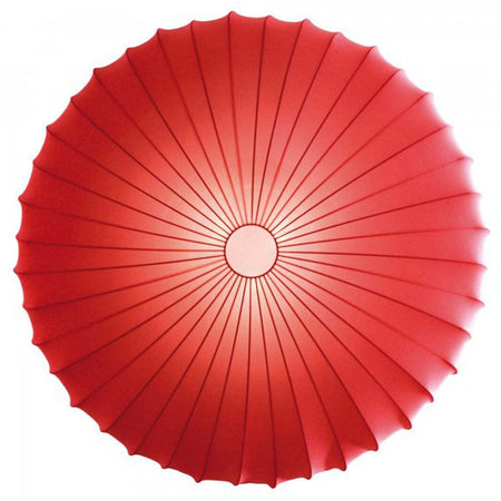 Product Image-6